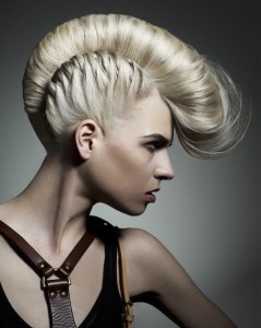 mohawk_braided_women-500x625