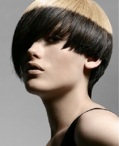 two-tone-colour-hair-highlights-idea